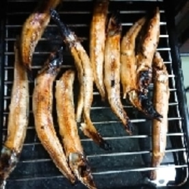 キスの一夜干しの焼き方 レシピ 作り方 By じゃが塩 楽天レシピ キスの一夜干しの焼き方 レシピ 作り方 By じゃが塩 楽天レシピ